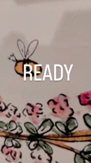 We zijn er weer klaar voor om nieuwe gasten te ontvangen ✨️