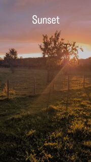 Vandaag was er een prachtige zonsondergang in de regen bij het BetuweHuisje in de achtertuin!