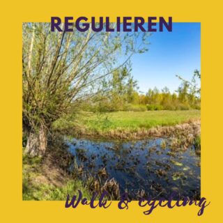 Regulieren is een groot natuur- en wandelgebied in het rivierengebied bij Culemborg. Er zijn bloemrijke gras- en hooilanden, populierenbossen en wilgengrienden. In het gebied ligt een eendenkooi. In mei en juni is dit gebied met de rijke hoeveelheid soorten bloemen op z'n mooist!

De Regulieren leent zich uitstekend voor een prachtige wandeltocht. De hond mag aangelijnd mee. Het gedeelte ‘de Platteweg’ is een hondenlosloopgebied. Het groene halfopen landschap is goed bereikbaar, er zijn parkeerplaatsen rondom. Er is een picknickgelegenheid. In het gebied en de omgeving kan worden gefietst en paardgereden.

www.glk.nl/gebied/regulieren