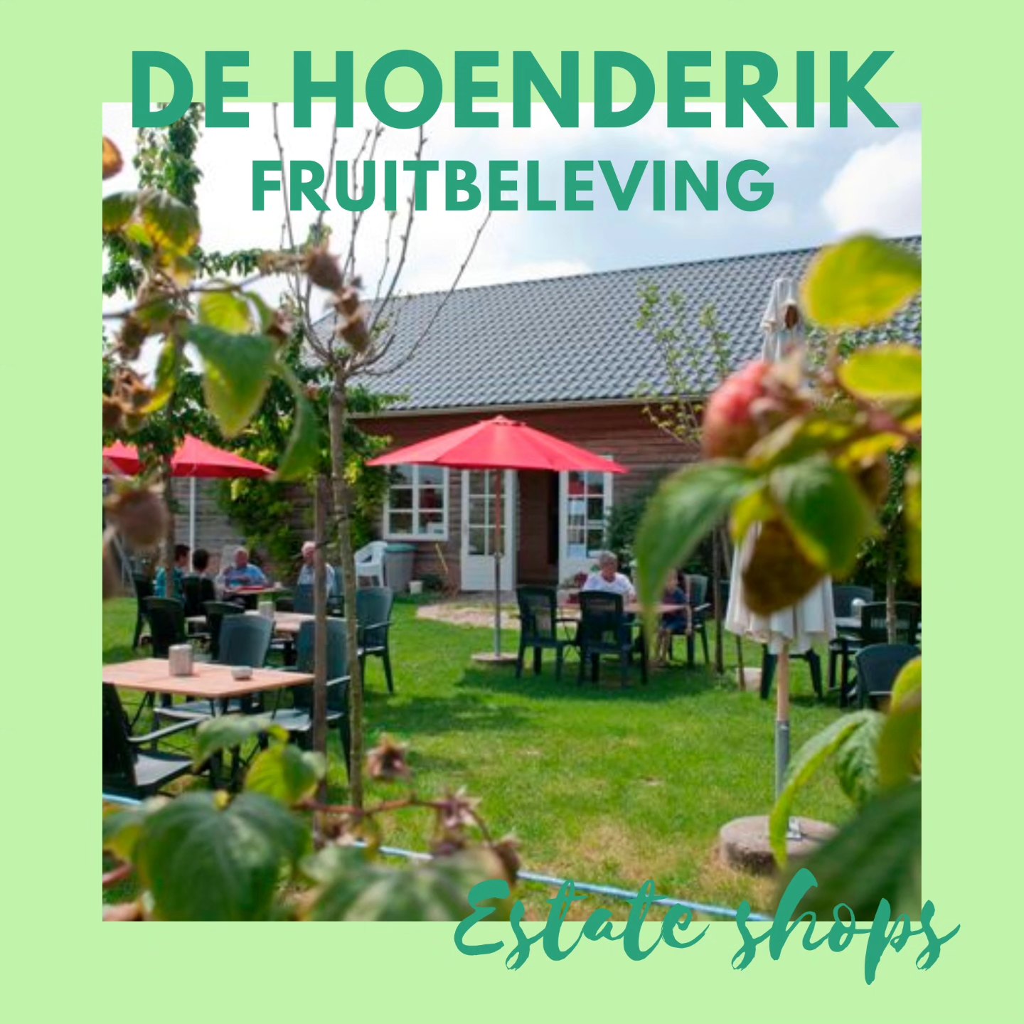 Een hoenderik is een traditionele mand waarin vroeger kersen werden geplukt. Daar is dit fruitbedrijf in Tricht naar vernoemd. Hier kun je terecht voor de Boerderijwinkel met de lekkerste Betuwse sappen, Honing uit eigen bijenstal en nog veel meer fruitbeleving in het hart van de Betuwe. Bij de Hoenderik telen ze appels, peren, kersen, aardbeien, frambozen en pruimen.

De boerderijwinkel en theeschenkerij heeft een gezellige binnenzit en aangrenzend een terras in de boomgaard. Verder zijn er regelmatig activiteiten te doen als appelsap persen, picknicken in de boomgaard, diverse workshops en leuke kinderfeestjes. In de Zelfpluktuin kan je tijdens het fruitseizoen terecht om verschillende soorten fruit te plukken.

www.dehoenderik-tricht.nl